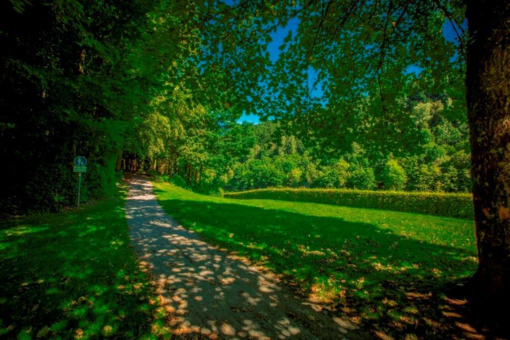 Feriendomizil Haus Am See Βίλα Biersdorf Εξωτερικό φωτογραφία